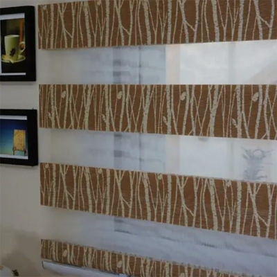 Individuelle Anforderung Spitzentechnik-Hausdesign Zebra Blind Stoff mit Individualisierung