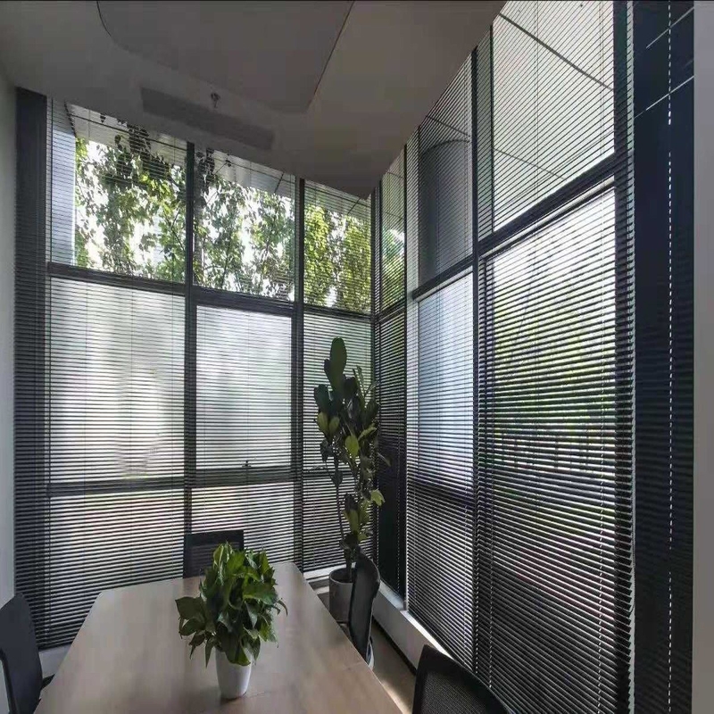 WY-ACB Anpassung Schlanke und anspruchsvolle Aluminium-Spulen Blinds für ein poliertes Aussehen