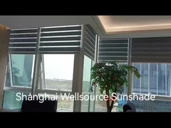 Zebra Blinds Szene Video